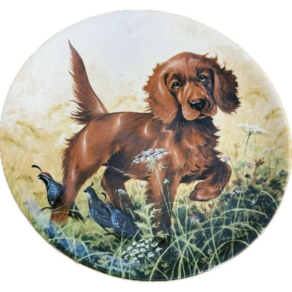 Vintage 1988 "Missing the Point" Irish Setter
Collector Plate by Lynn Kaatz - Picture 1 of 7